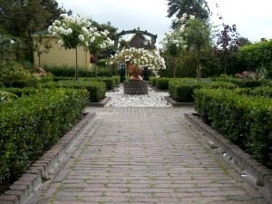 tuin aanleg
